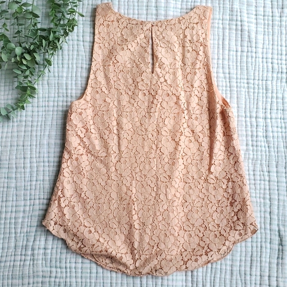 Talula Aritzia Betty Lace Tank - Picture 5 of 5